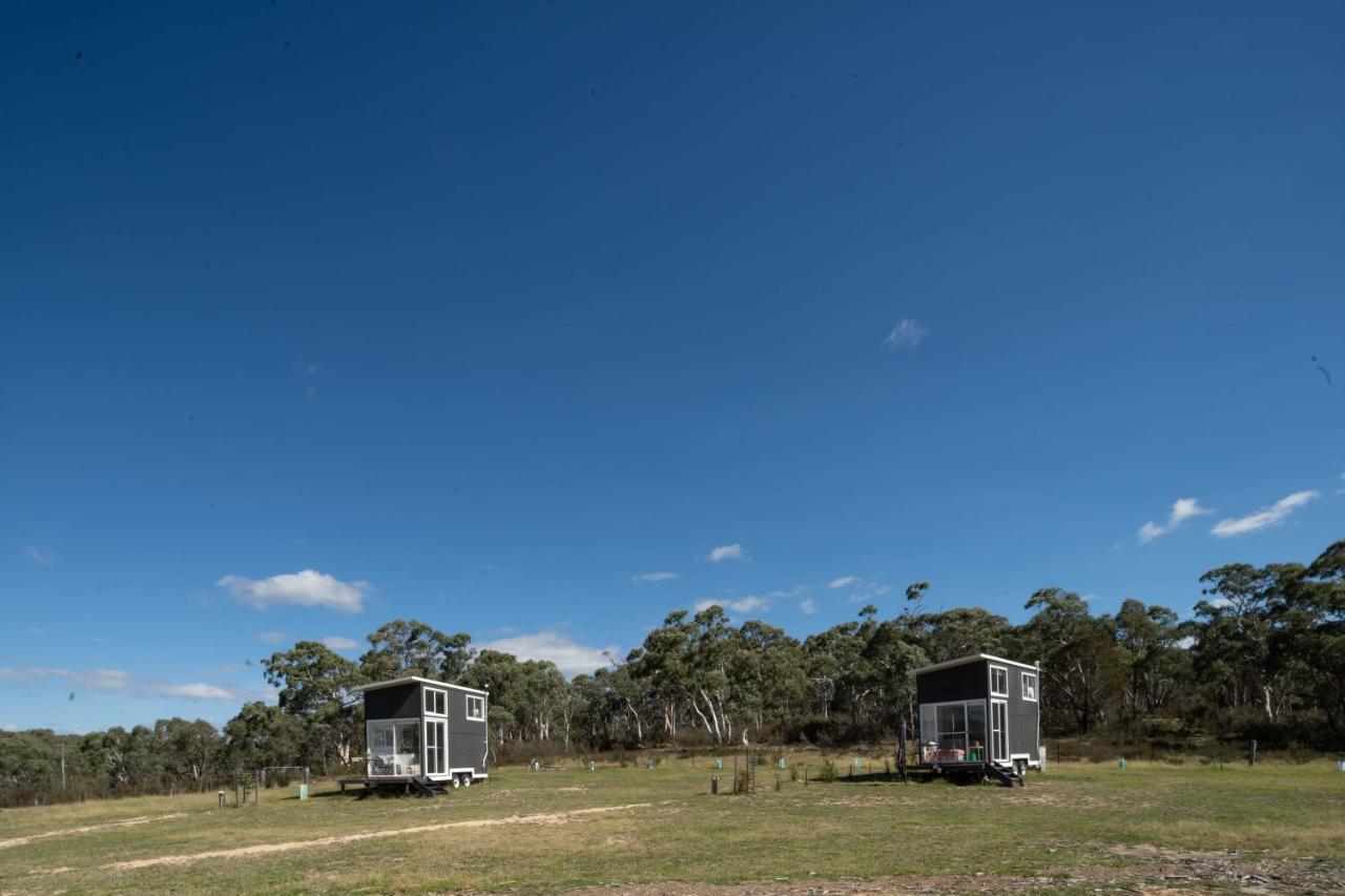 Saddle Camp Tiny House By Tiny Away Villa Braidwood Bagian luar foto